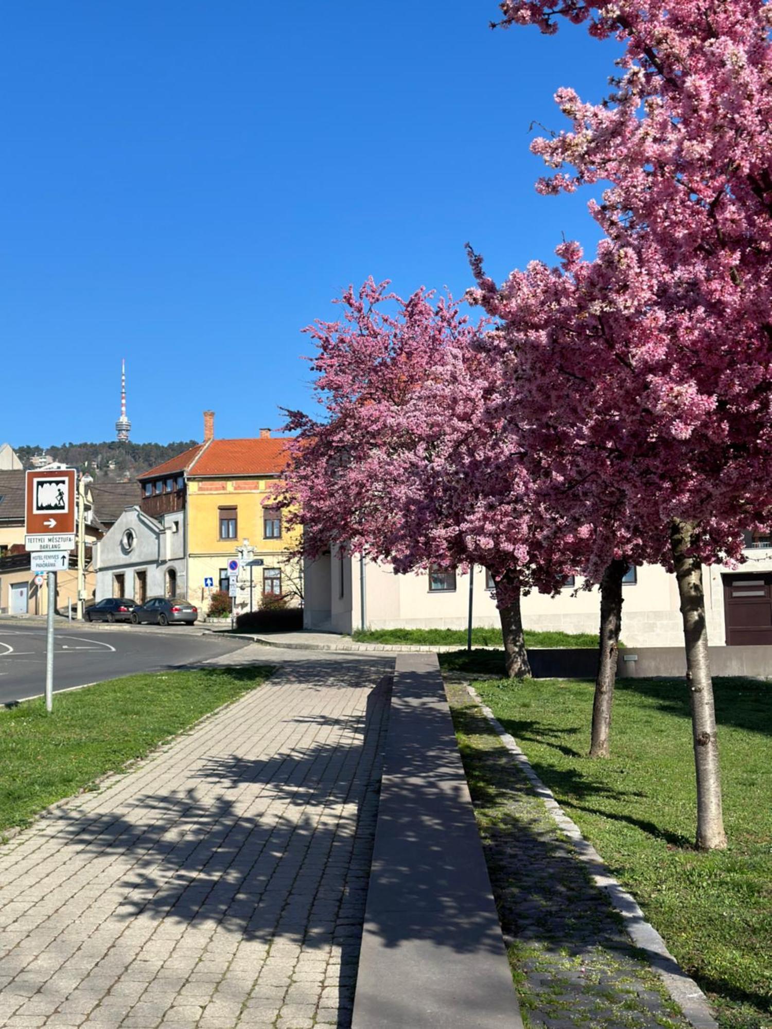 M18 - Csak Egy Lepes A Toertenelmi Belvaros - Free Parking Pécs Exterior foto